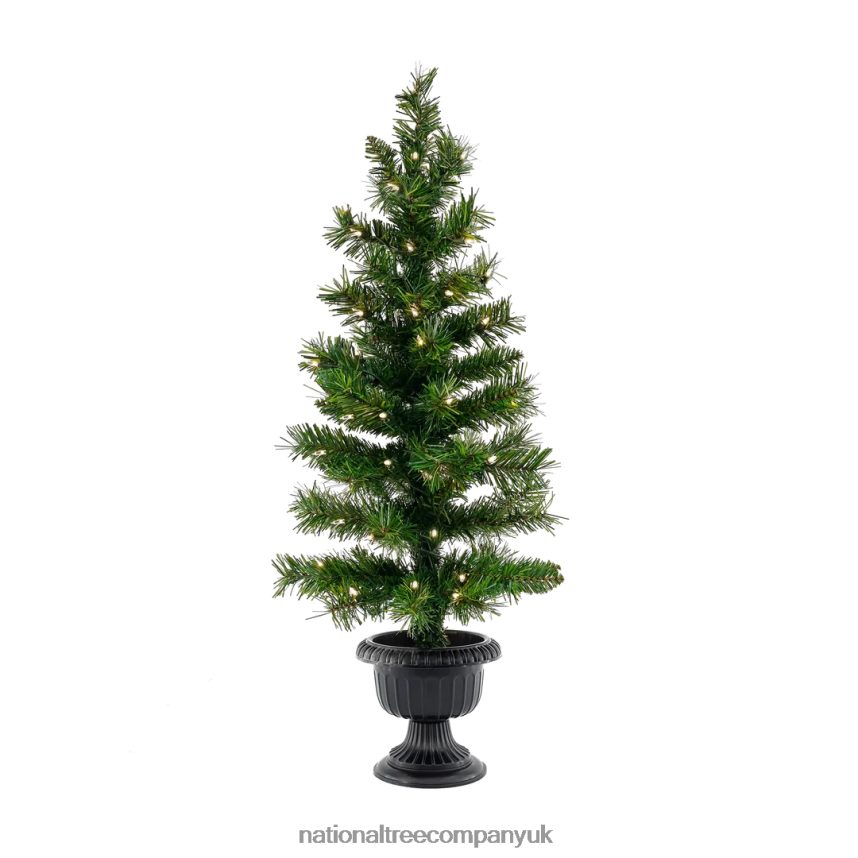 Greenery | National Tree Company Warm Welcome Bundle Pre-Lit Assortment F2L4F516